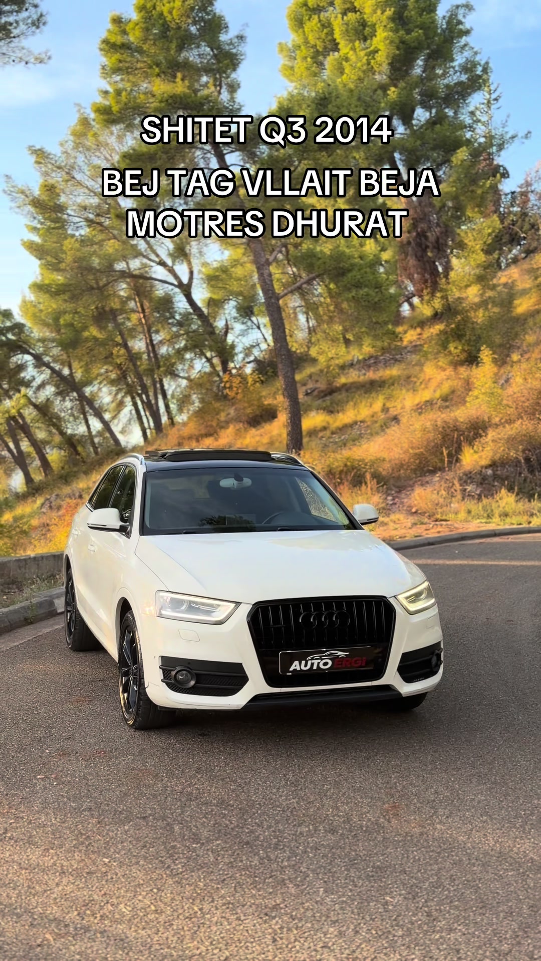 @Auto Ergi