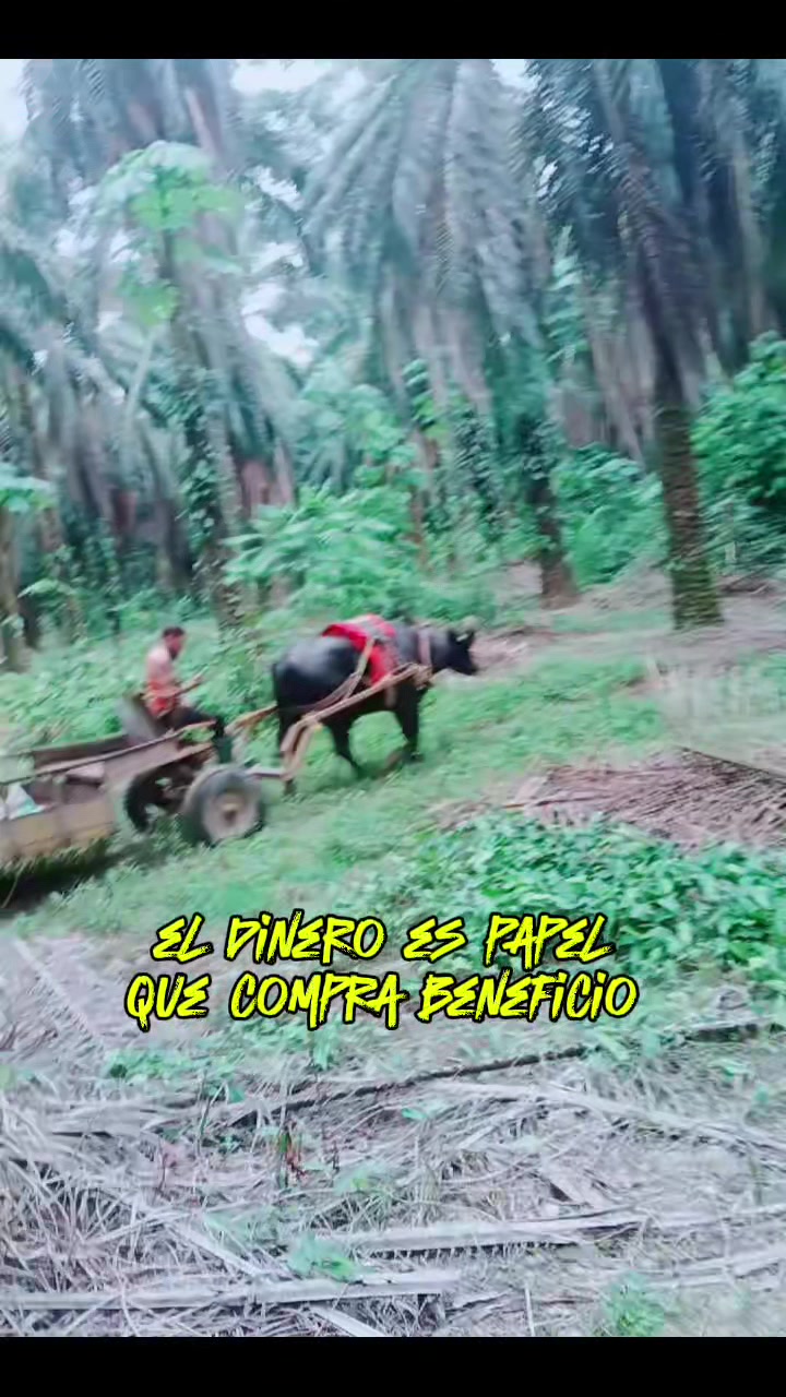 @Alfredo Polanco