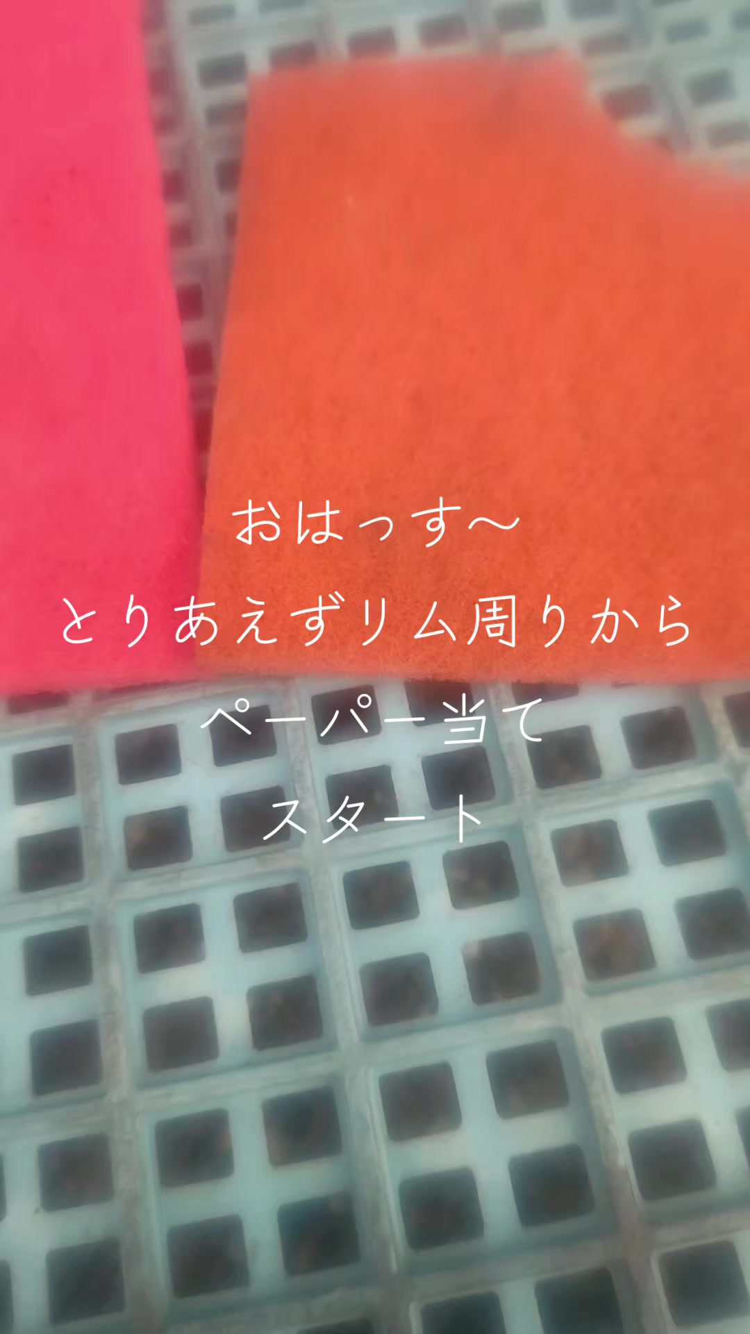 @マジカルな🙄ずんだひろし??