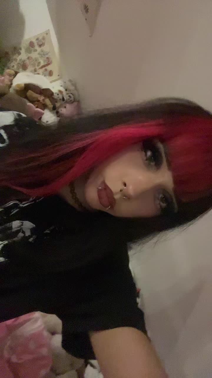 @🐾🐾🐾