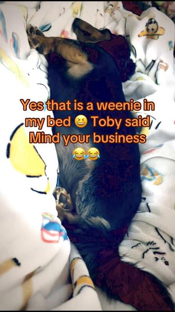 @Kimberly MotherofDoxies Gen❌