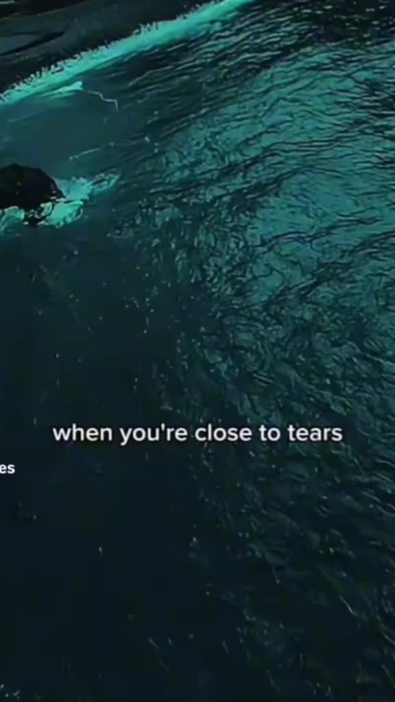 @S Taylor