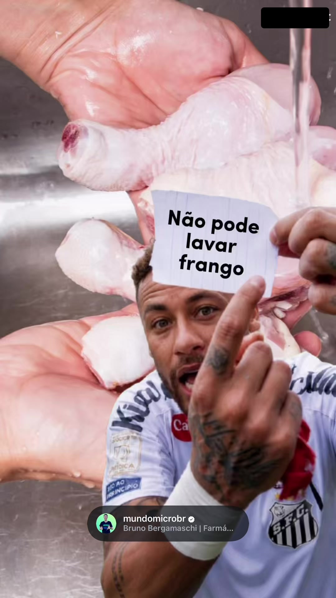 @mundomicrobr