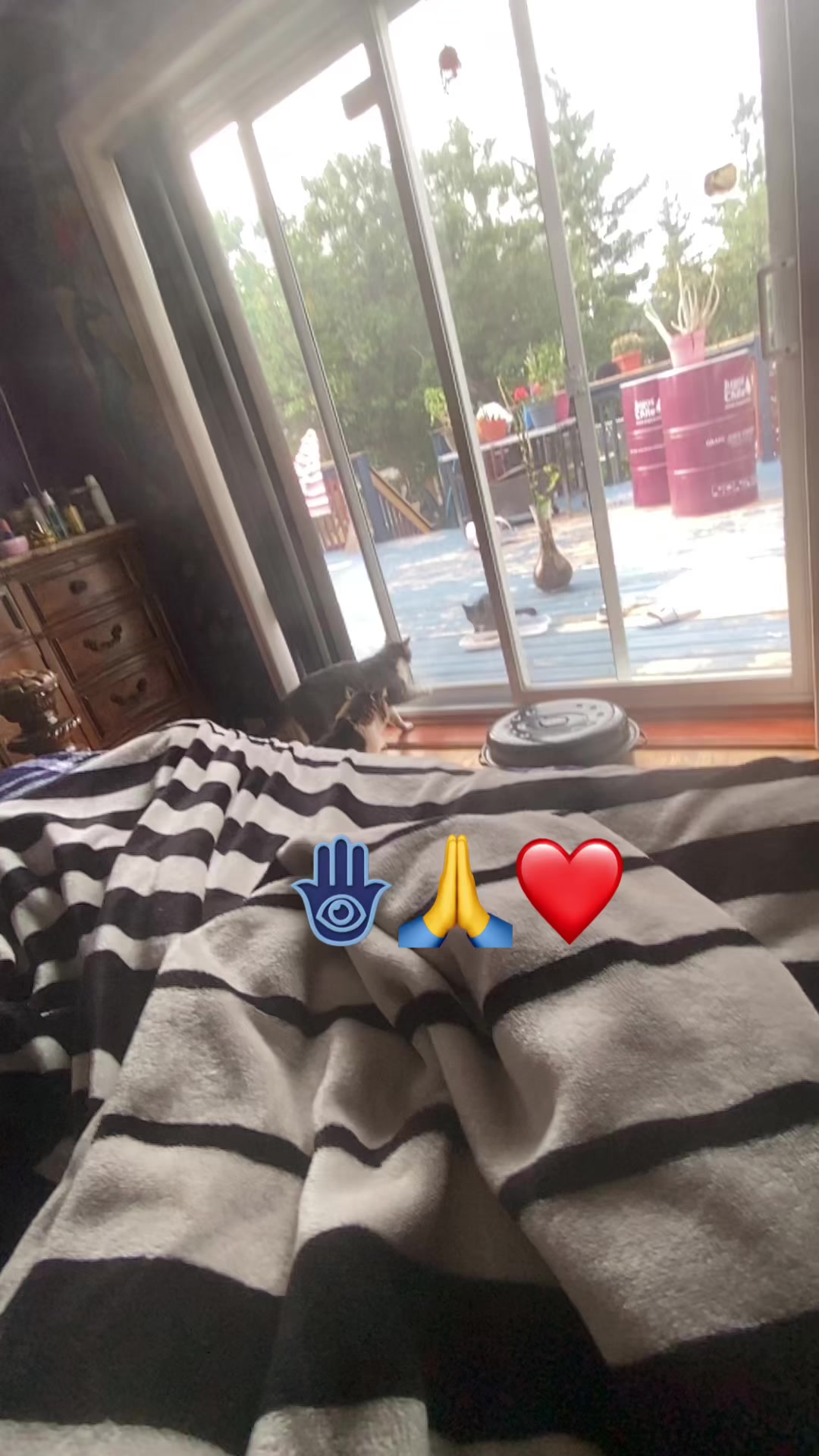 @suenaina13