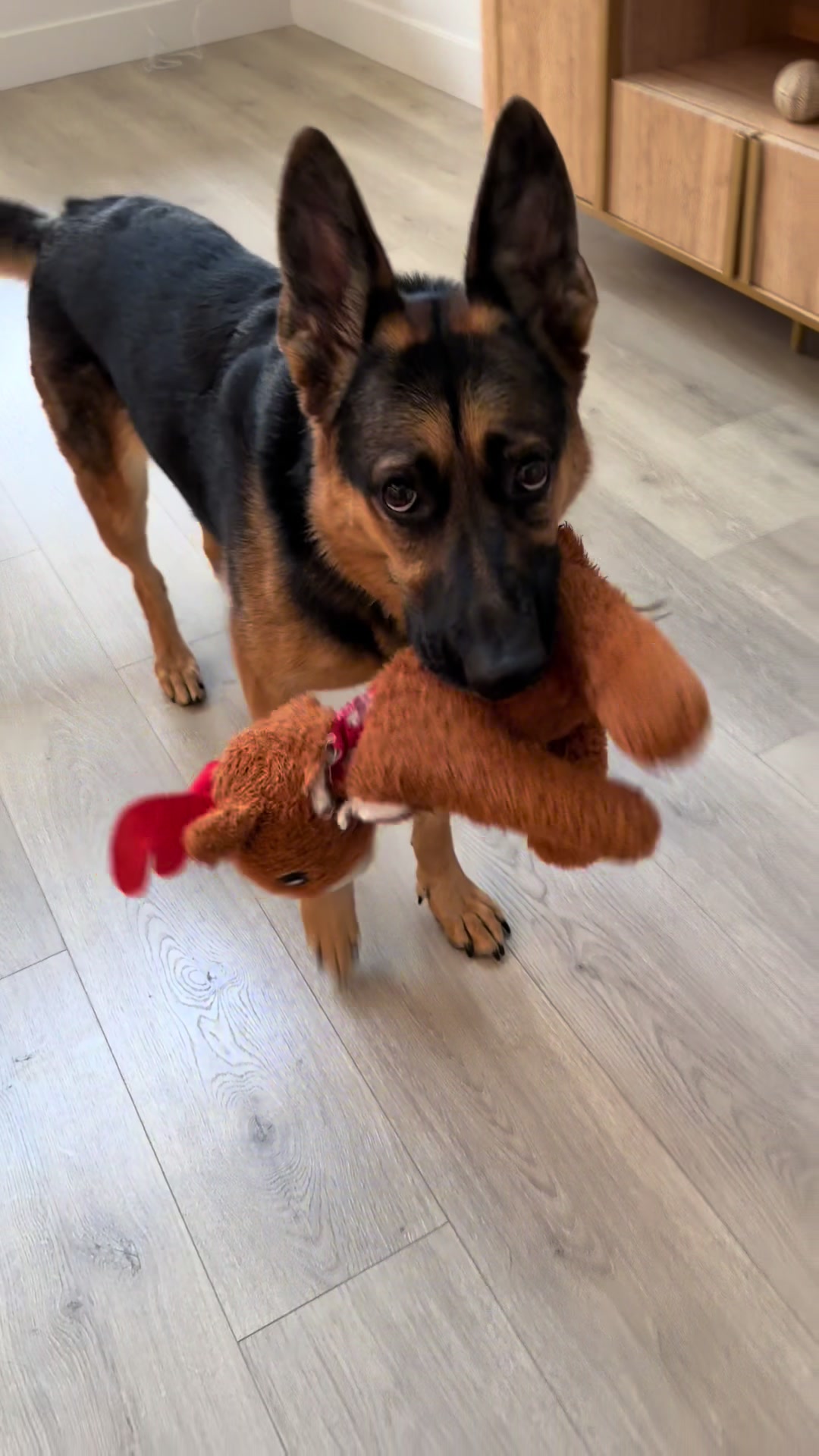 @Rory The Not-Working GSD