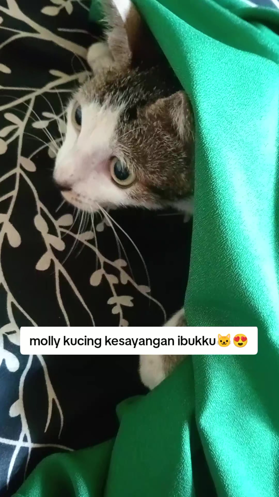 @Rizqi