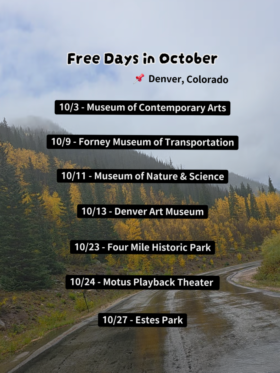 @Cam ✨️ Colorado Creator