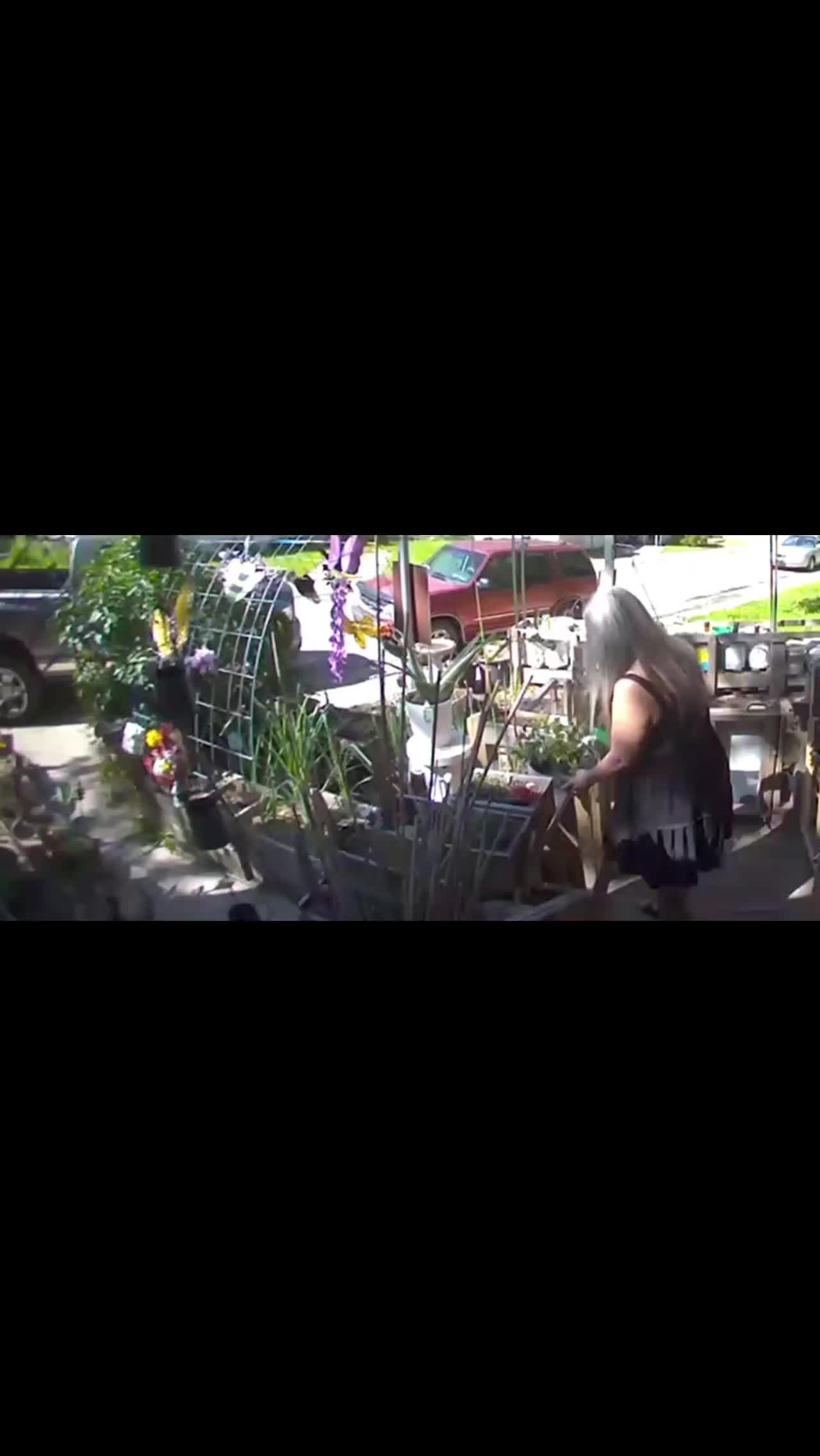 @TheQueenWifey#1