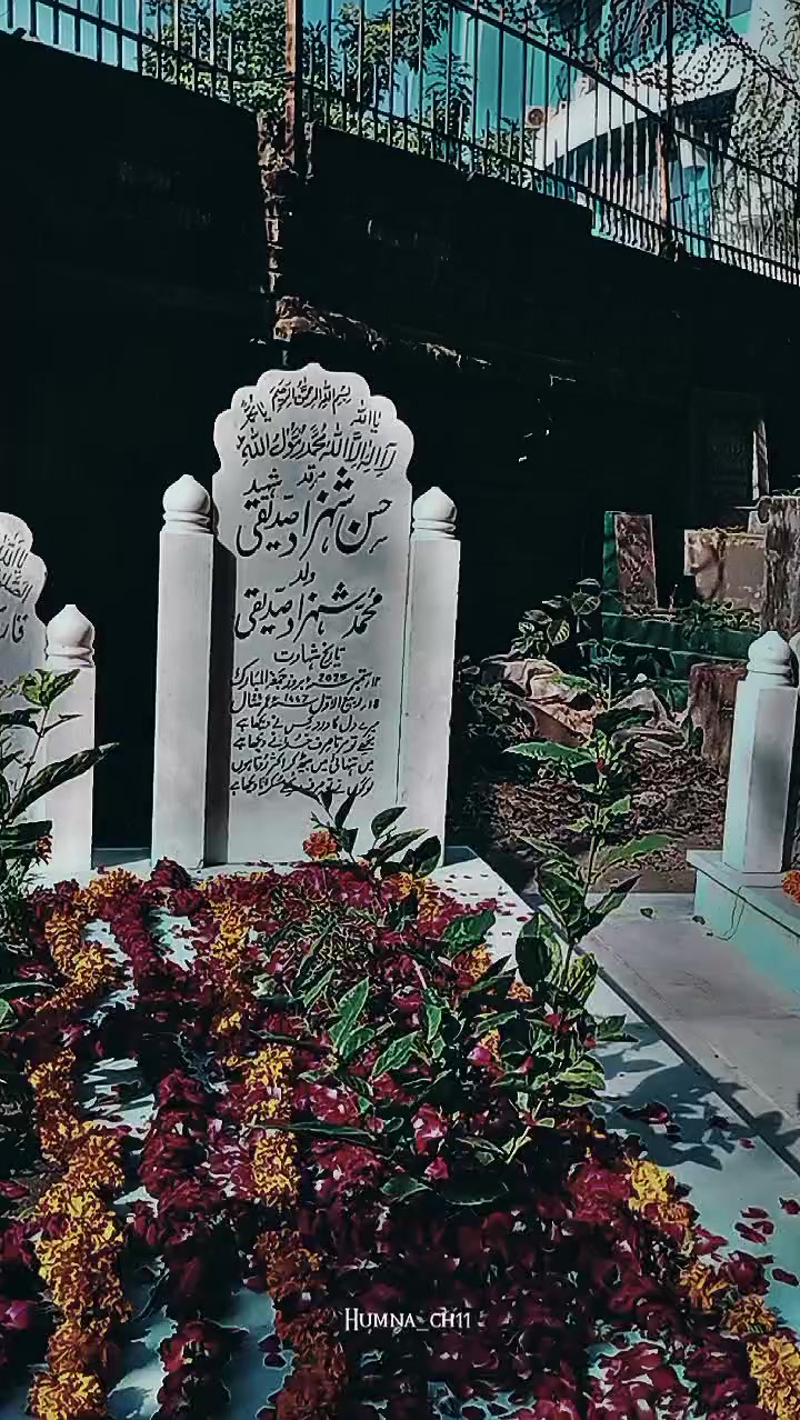 @Shehreyar Ahmad Sidd