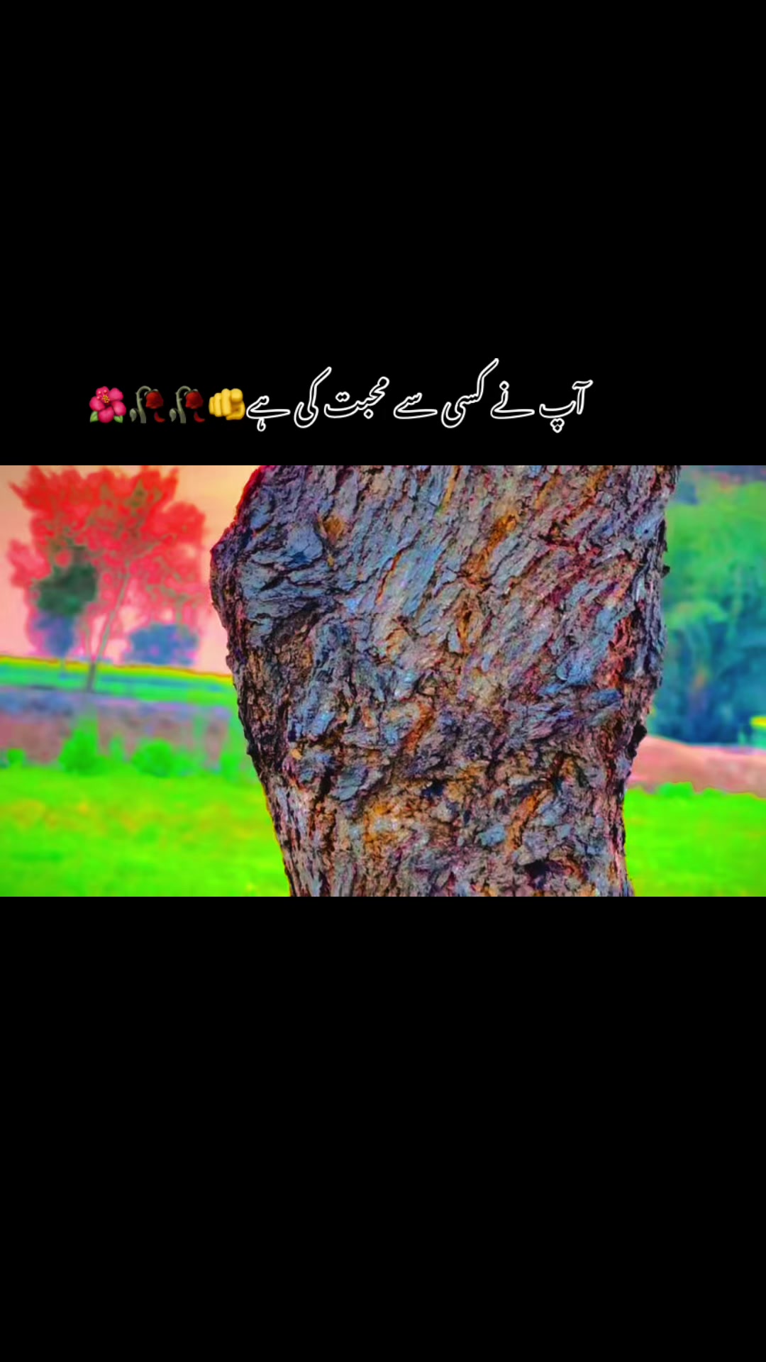 @🥬🎗️پنڈاں آے 🌺