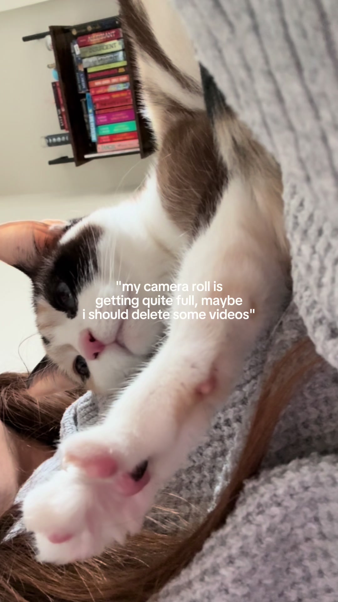 @Maya