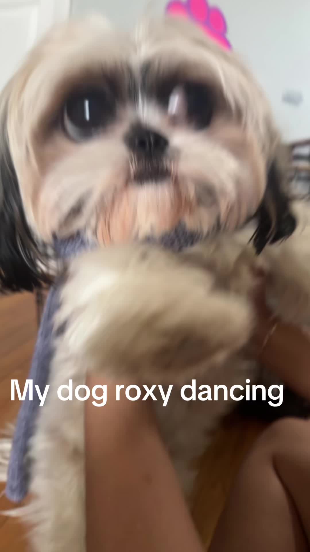 @BLOXYCOLA1906