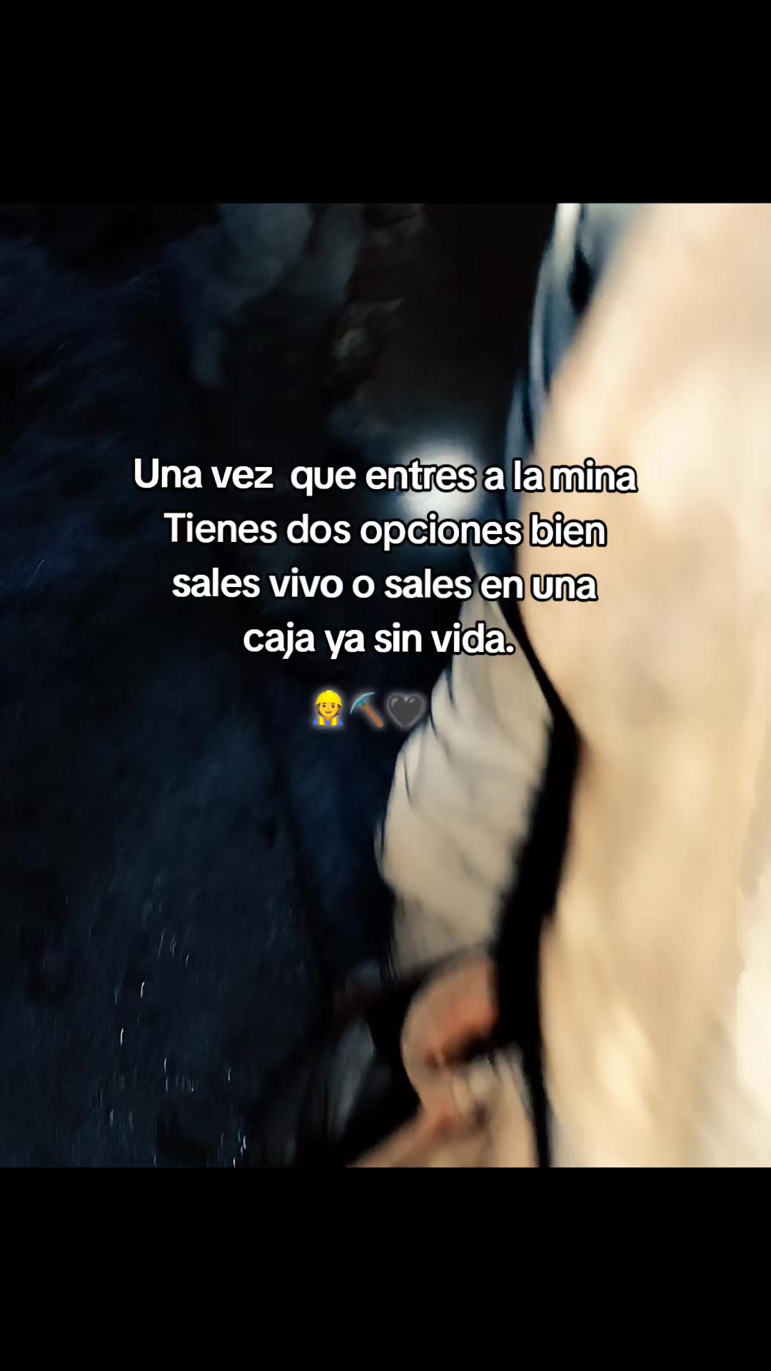 @ivan%🥷🖤