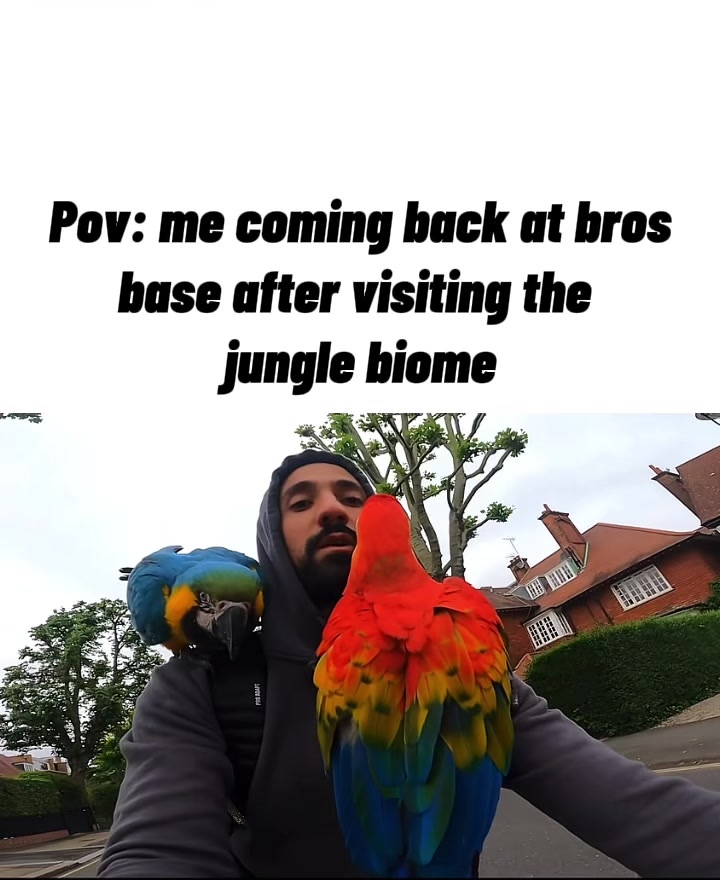 @Minecraftdailyy