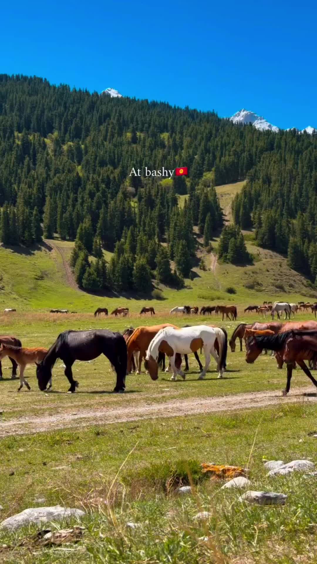 @Бема🌸