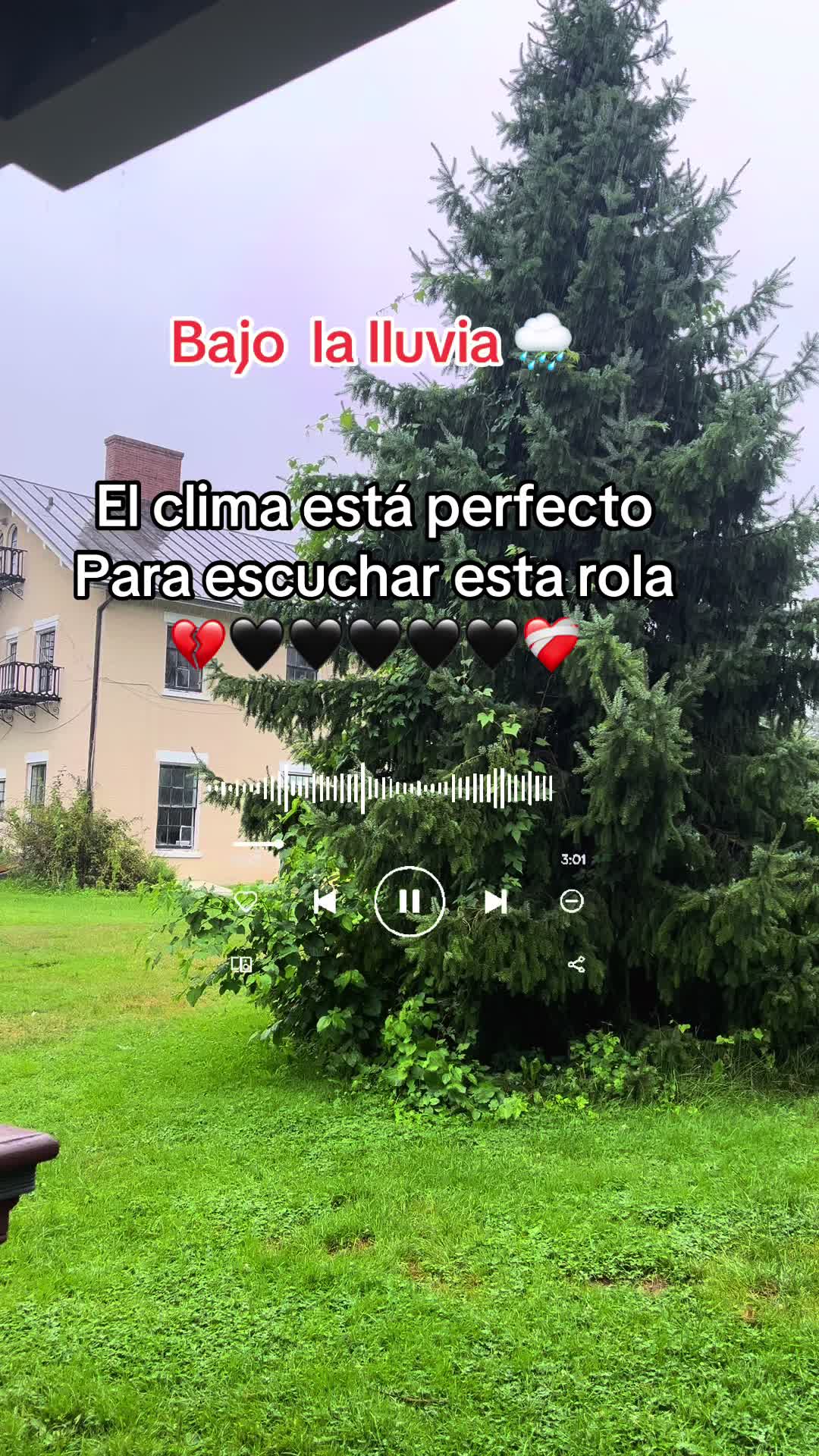 @🇲🇽Un poblano en ny 🇺🇸🗽☘️