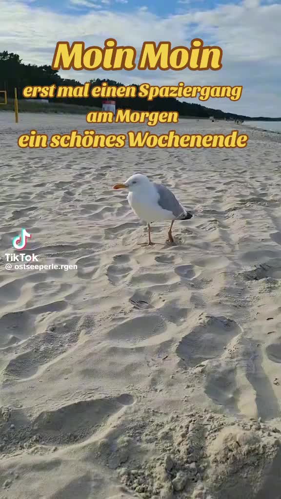 @geistlein12