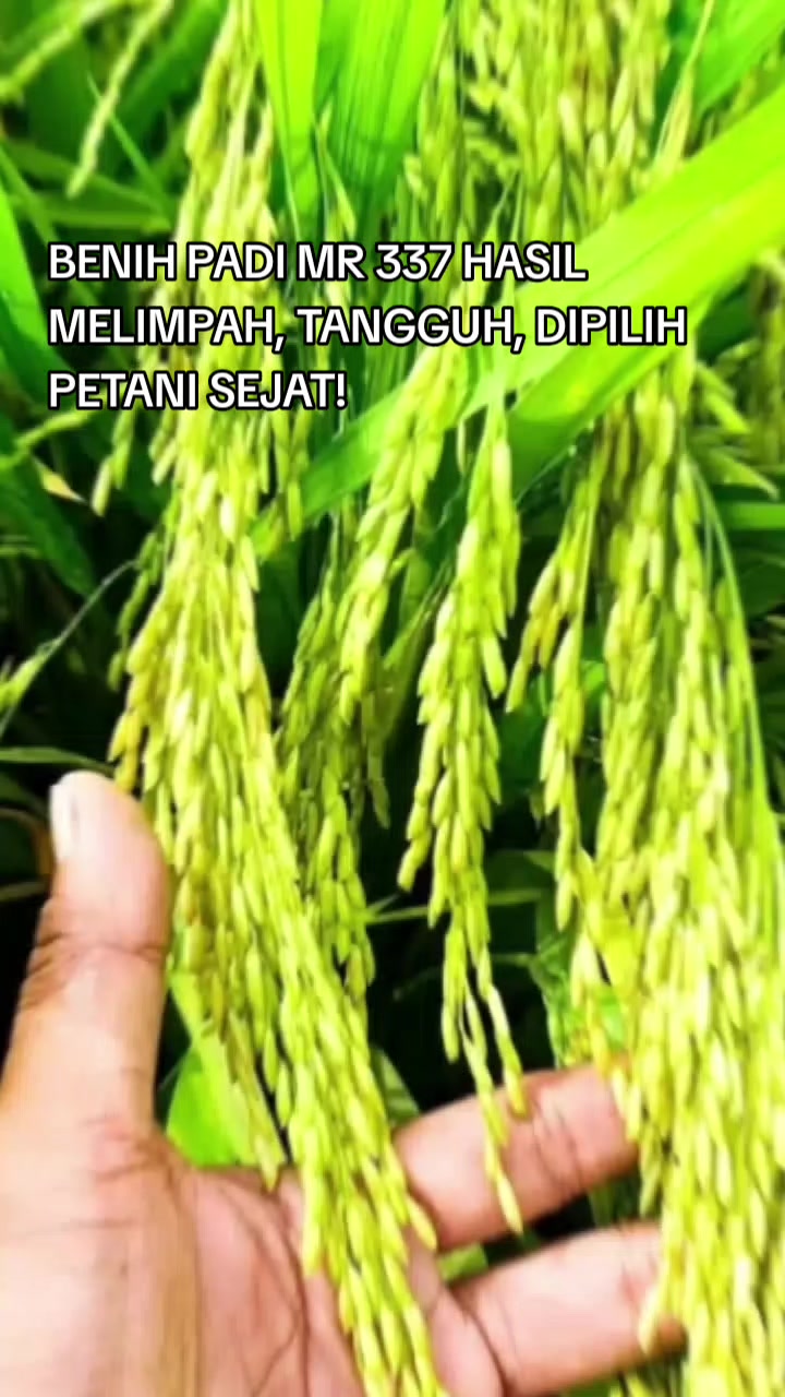 @PT. BHD INDONESIA