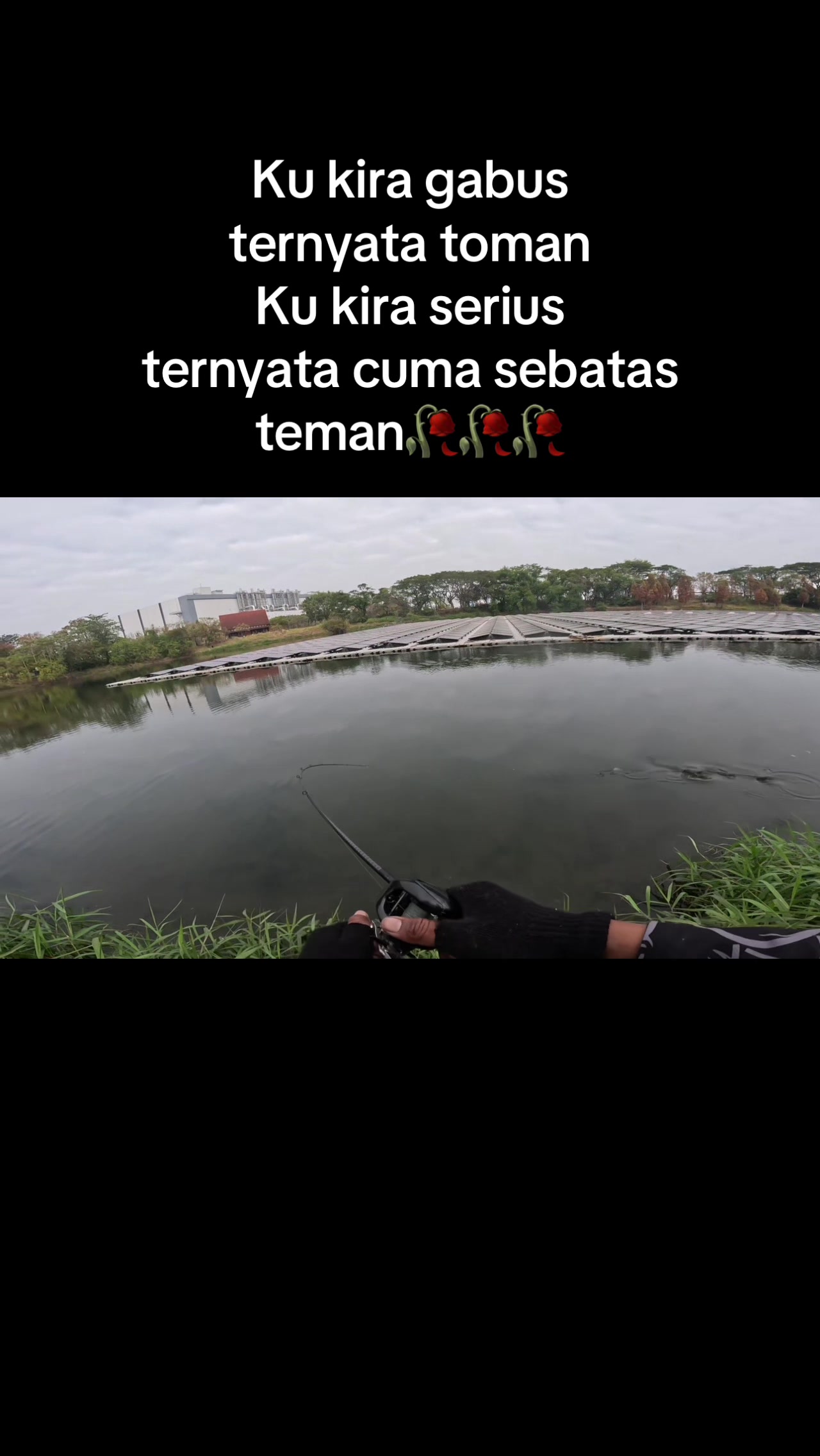 @LianPetok