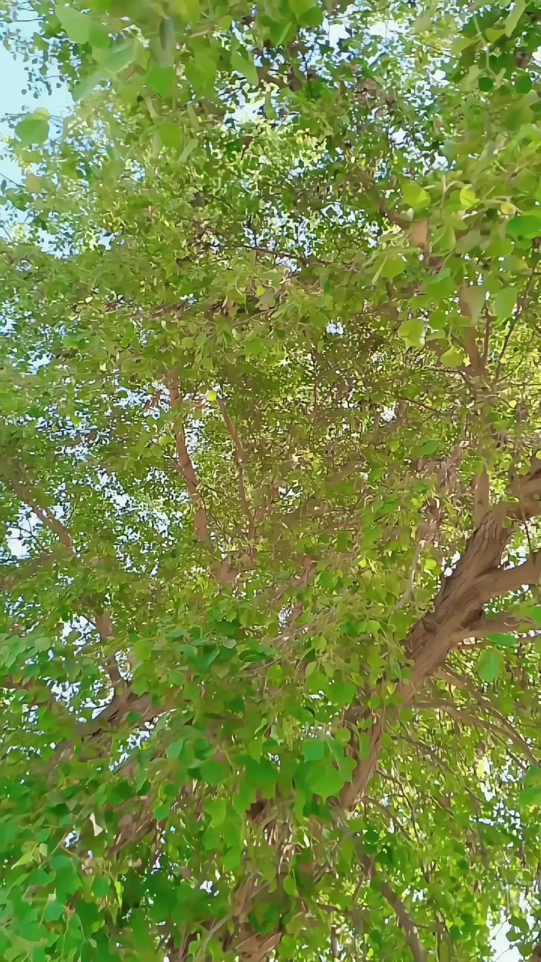 @𝙔𝙖𝙨𝙚𝙚𝙣 𝙠𝙝𝙖𝙣