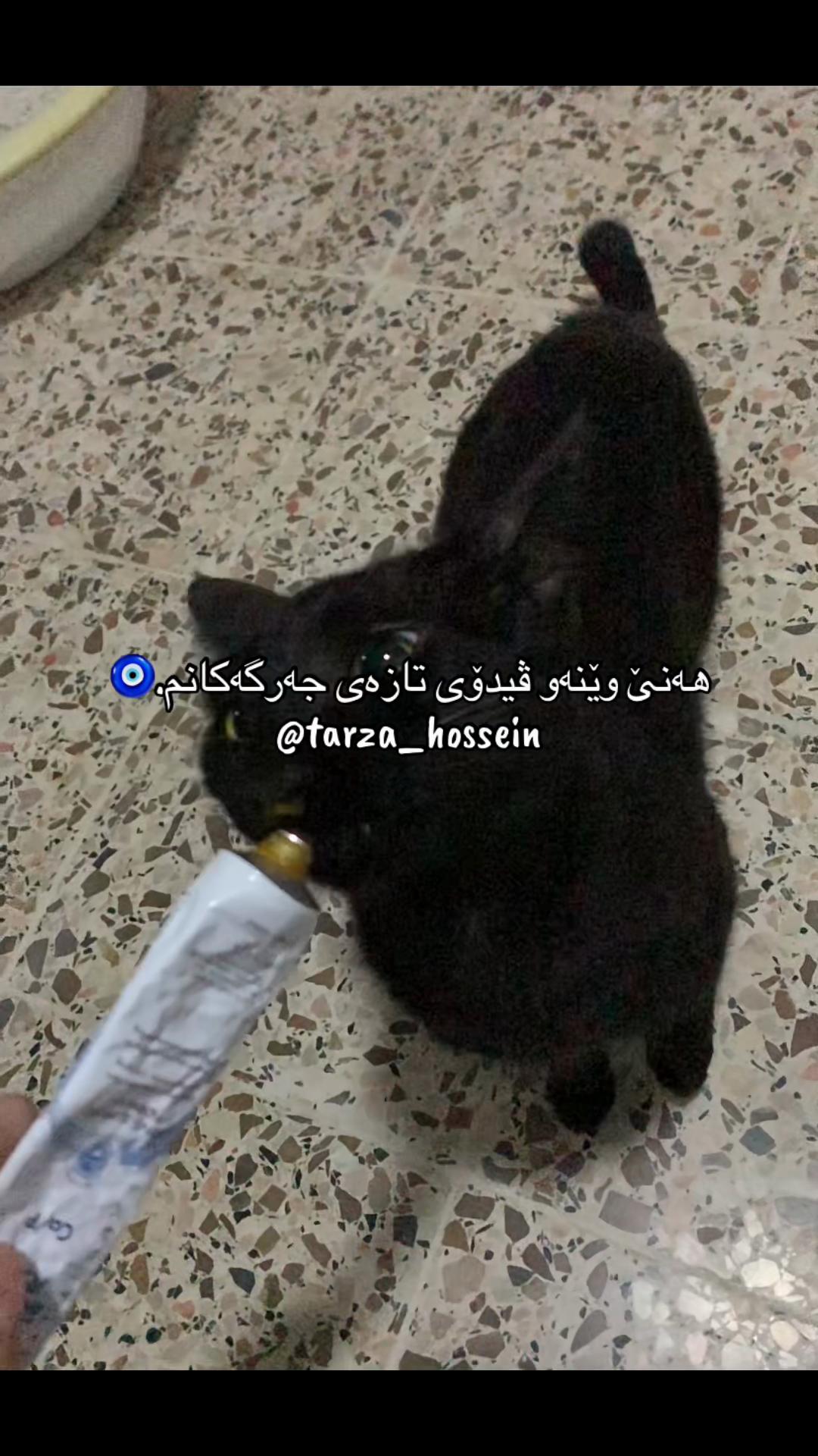 @تەرزە حسێن