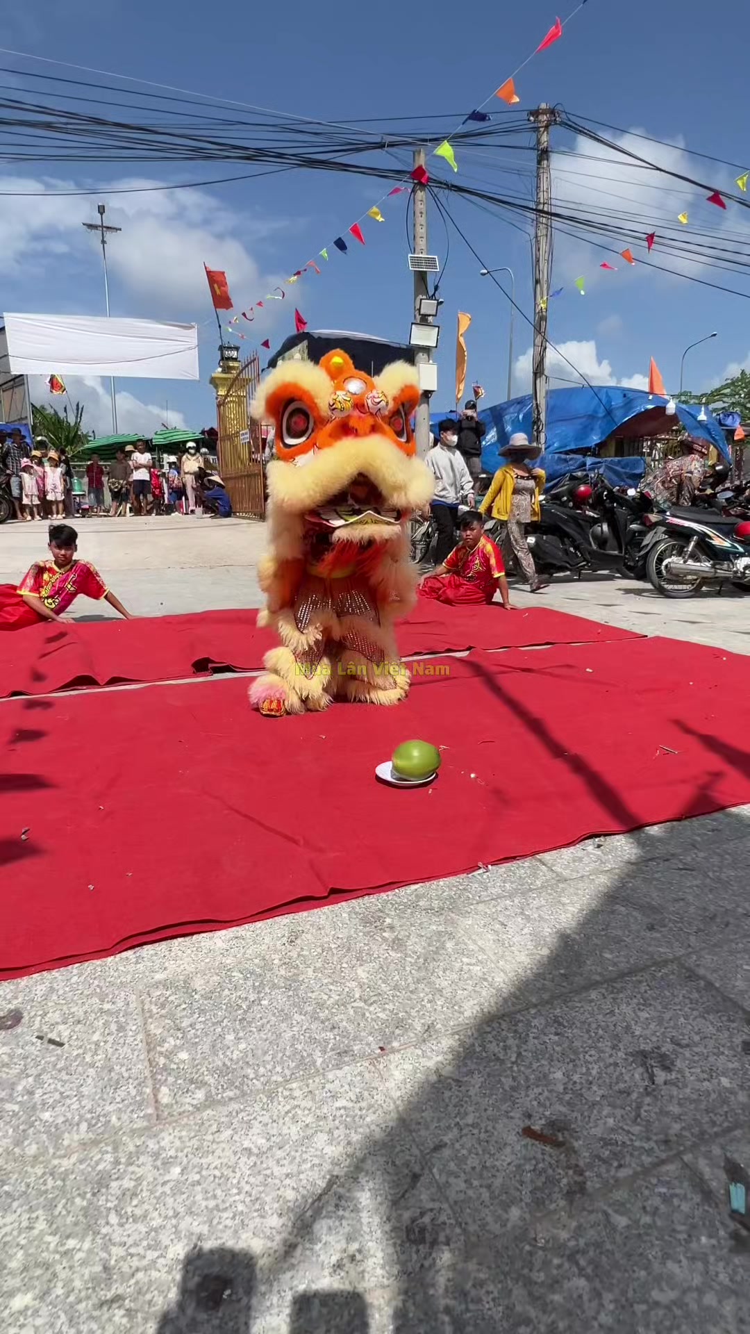 @M&uacute;a L&acirc;n Việt Nam 🇻🇳