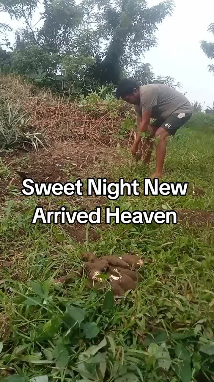 @human🇵🇭🇵🇭