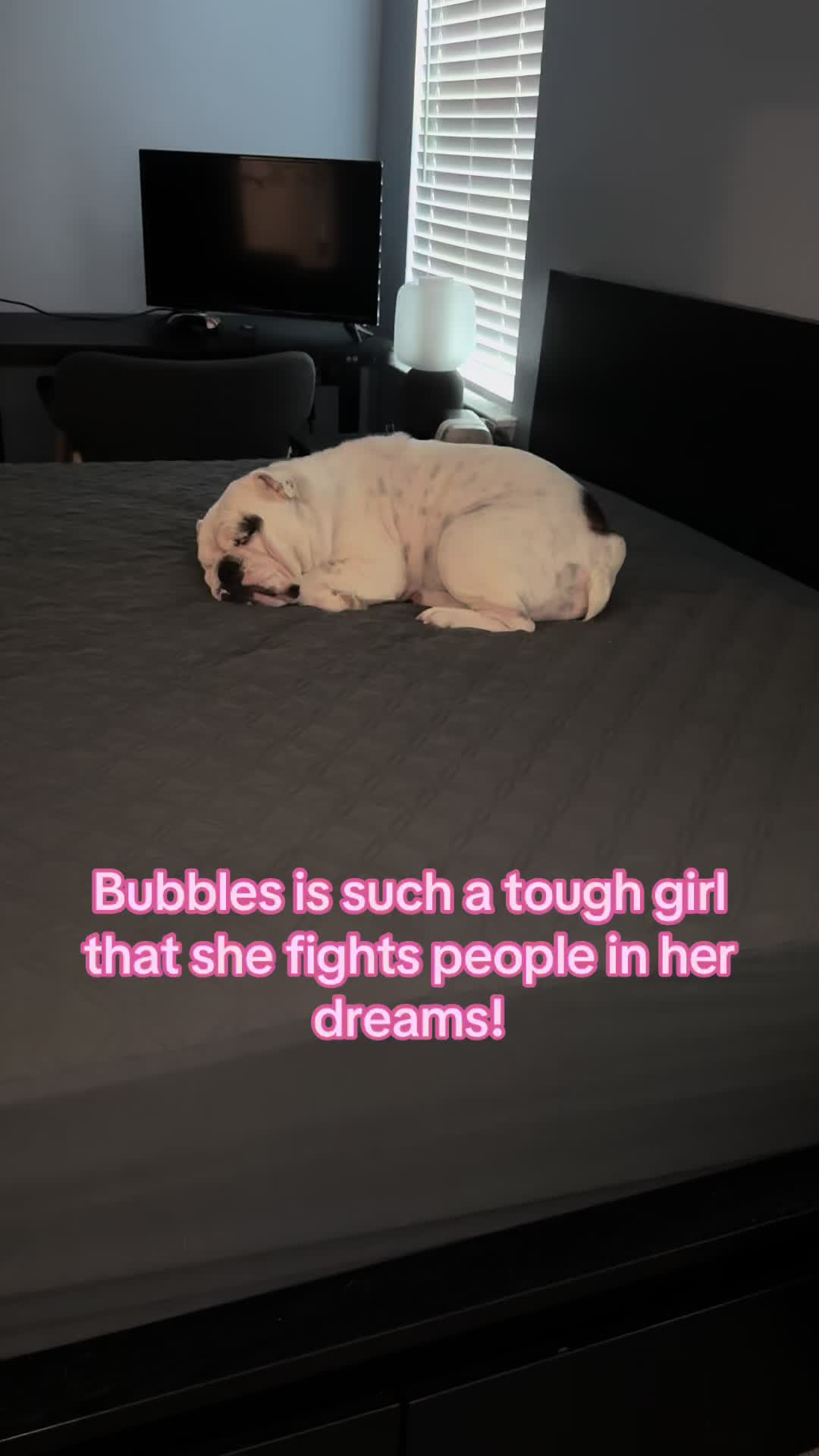 @Adventures of Buford & Bubbles