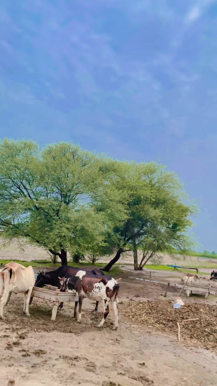@nazam_joiya🇰🇬❤️🩹
