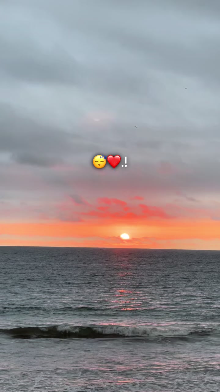 @Karol🍀.🐒