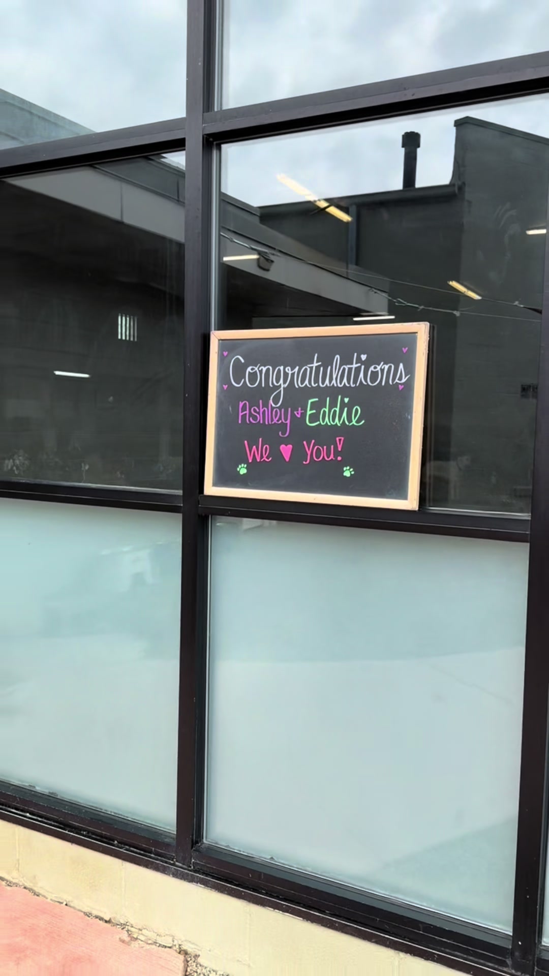@Doggieinthewindow