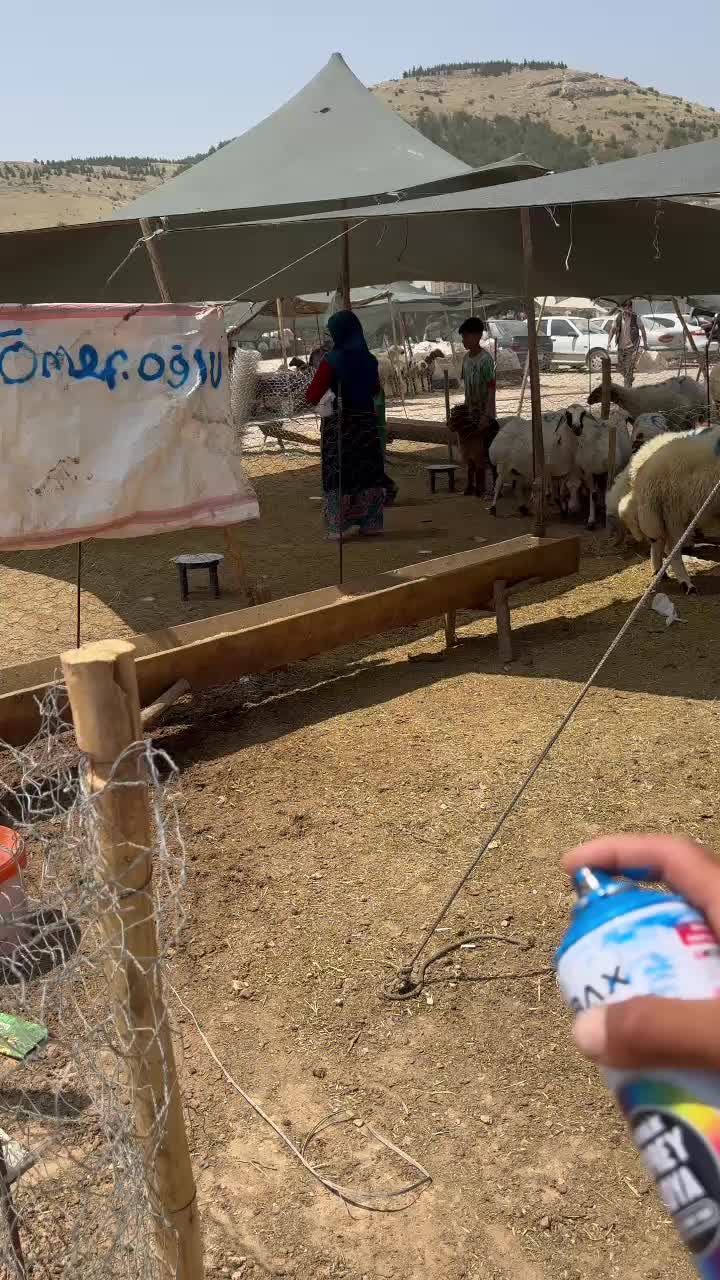 @EMİNOĞLU BESİCİLİK