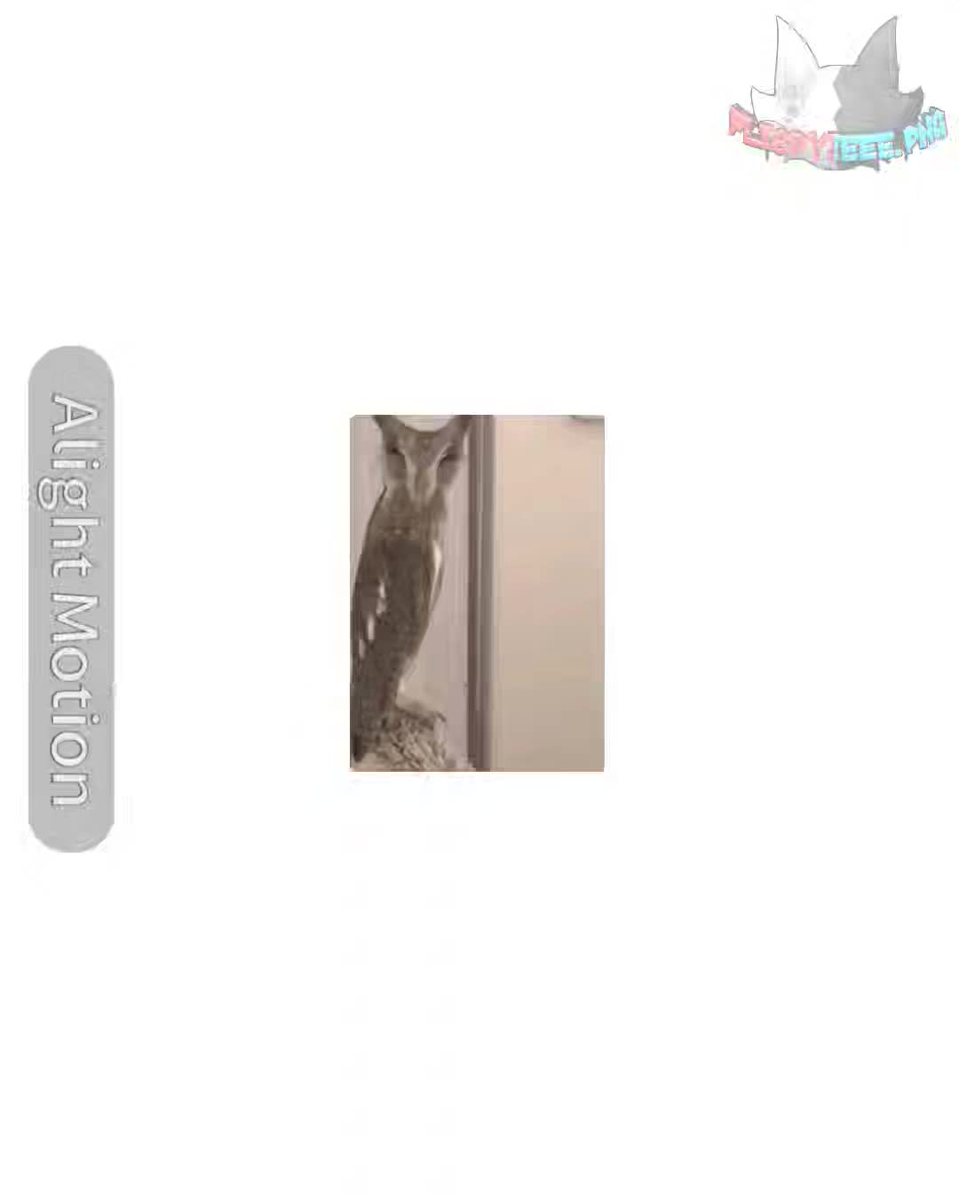 @▣   𝙛𝙡𝙞𝙨𝙥𝙮  ˎ ˎ