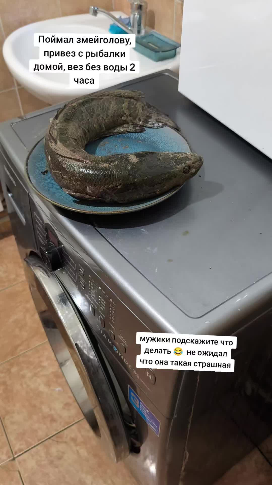 @Женис Джекетаев
