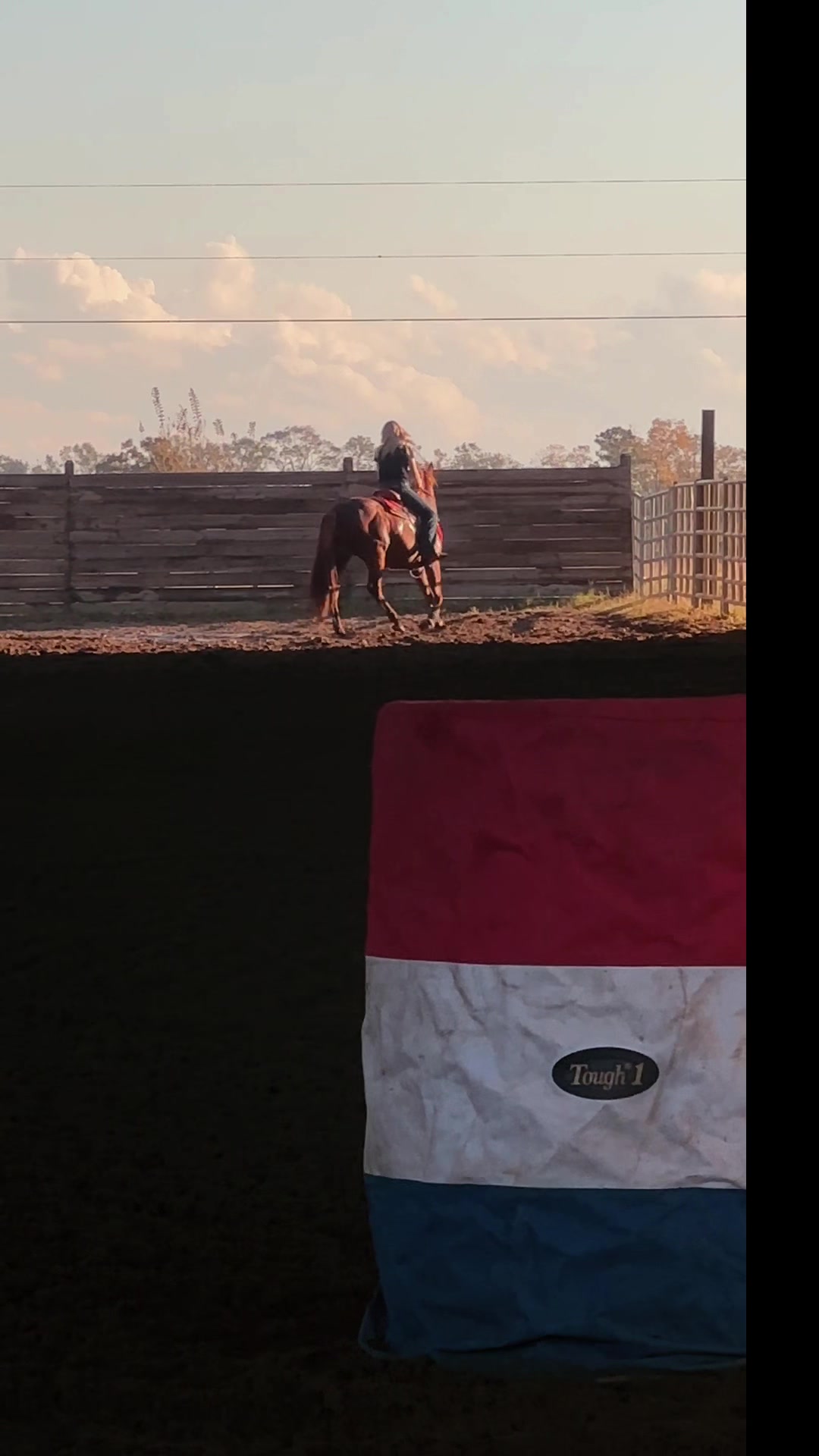 @barrelracingmama