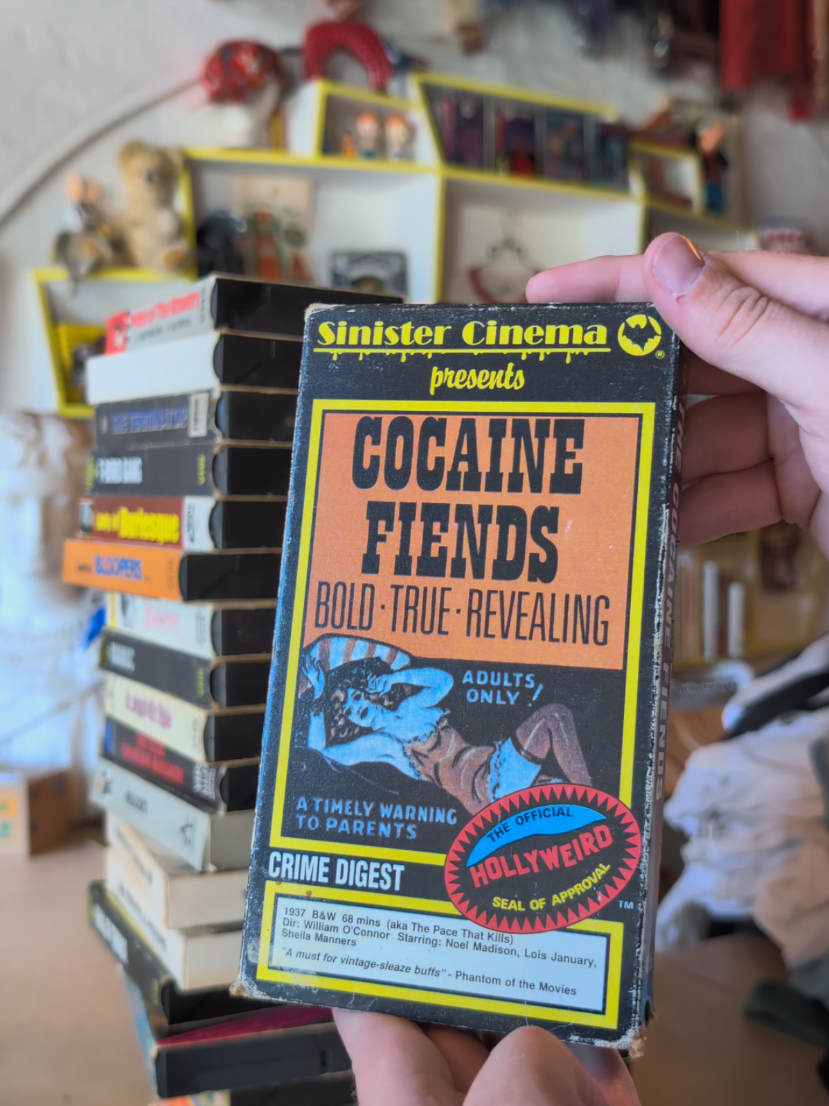 @Owen's Oddities 🇨🇦