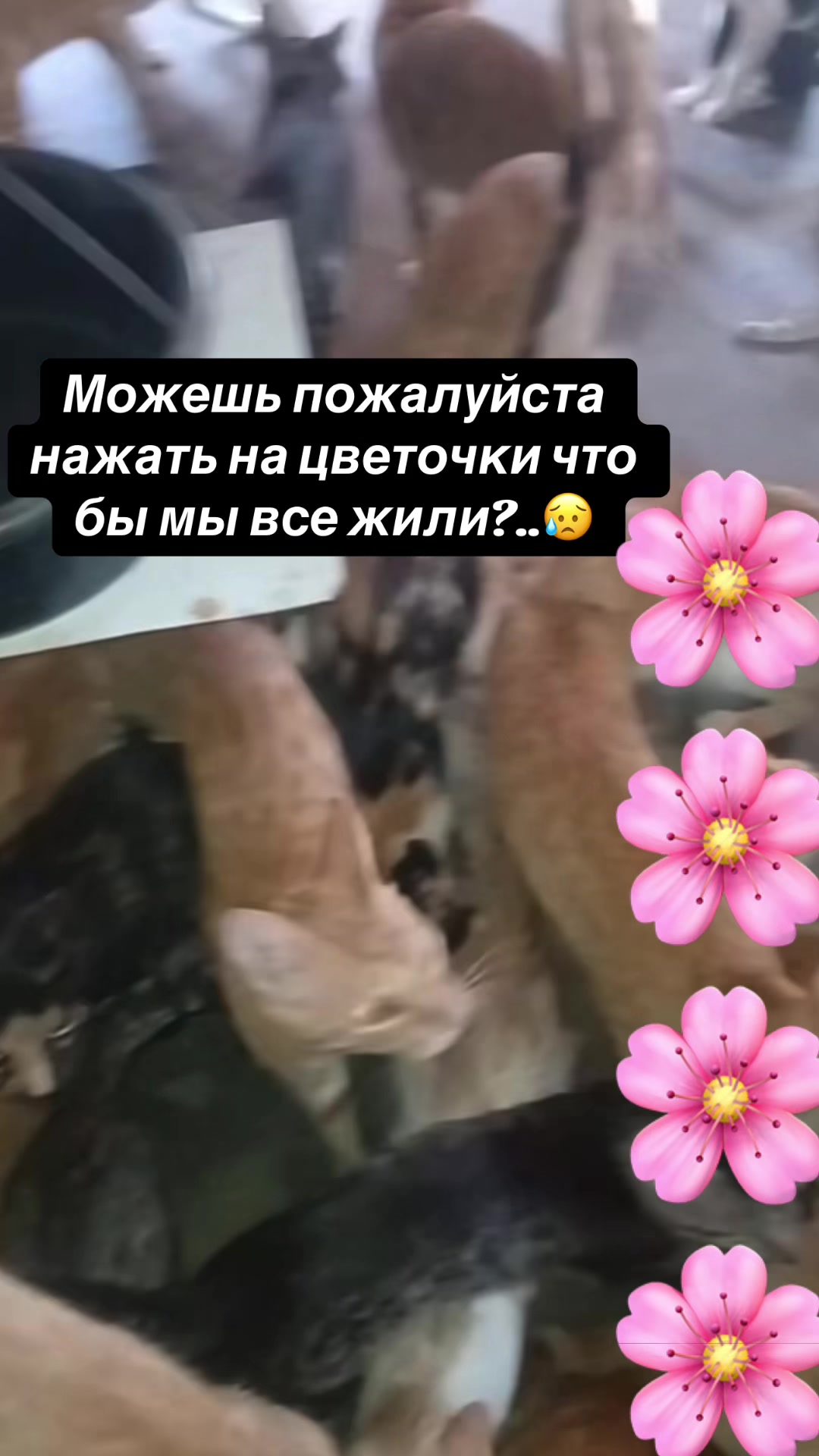 @kaboompriut