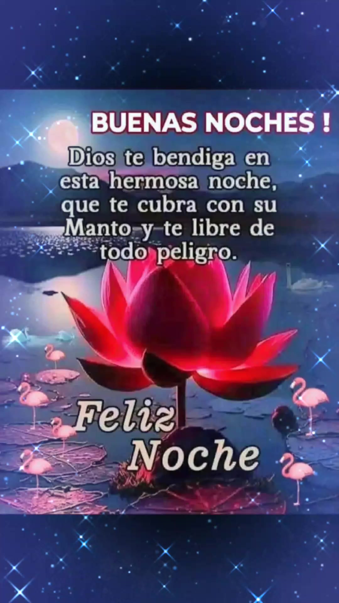 @Dulce Lopez2649