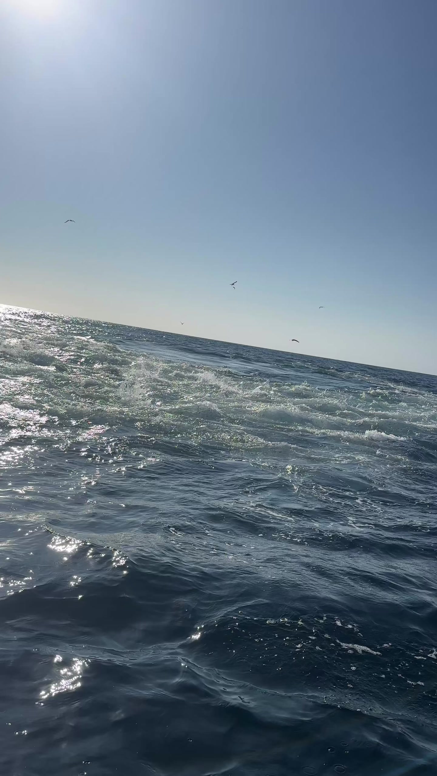 @ACLASSIC