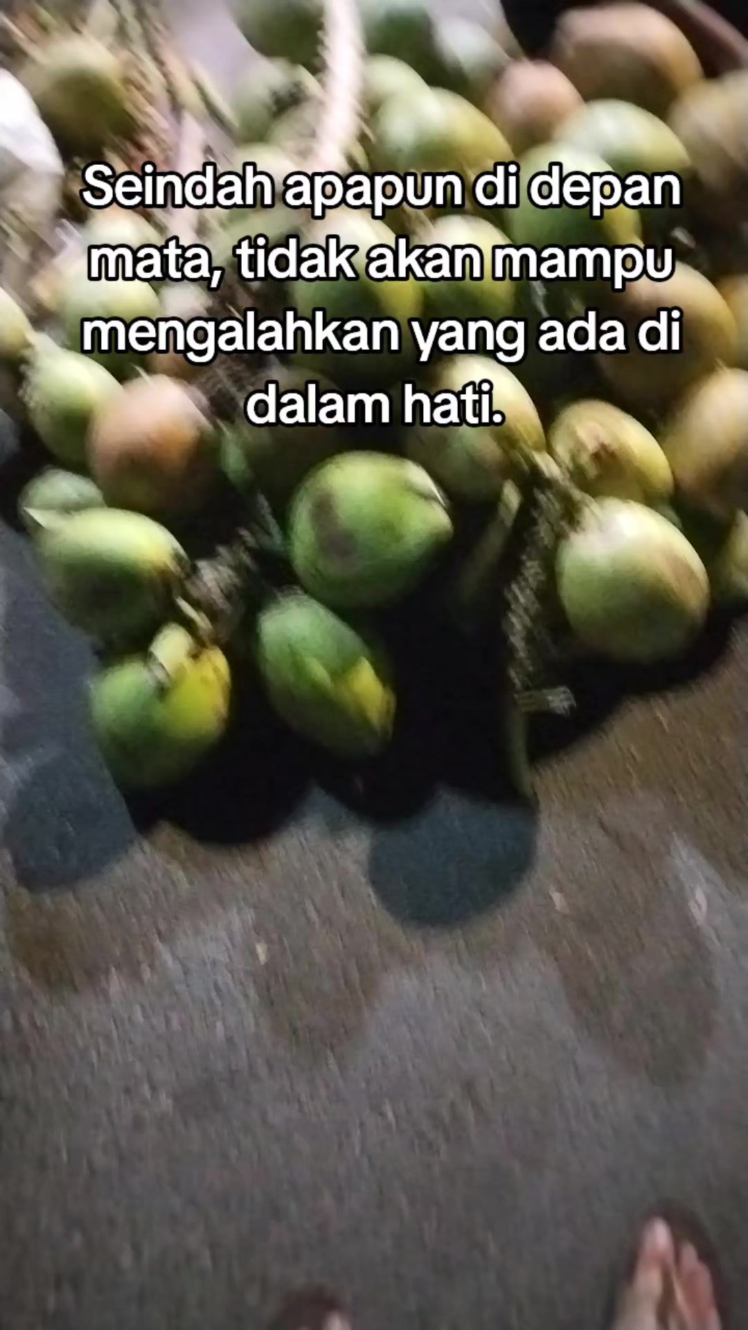 @@BANGKIT_MANDIRI01