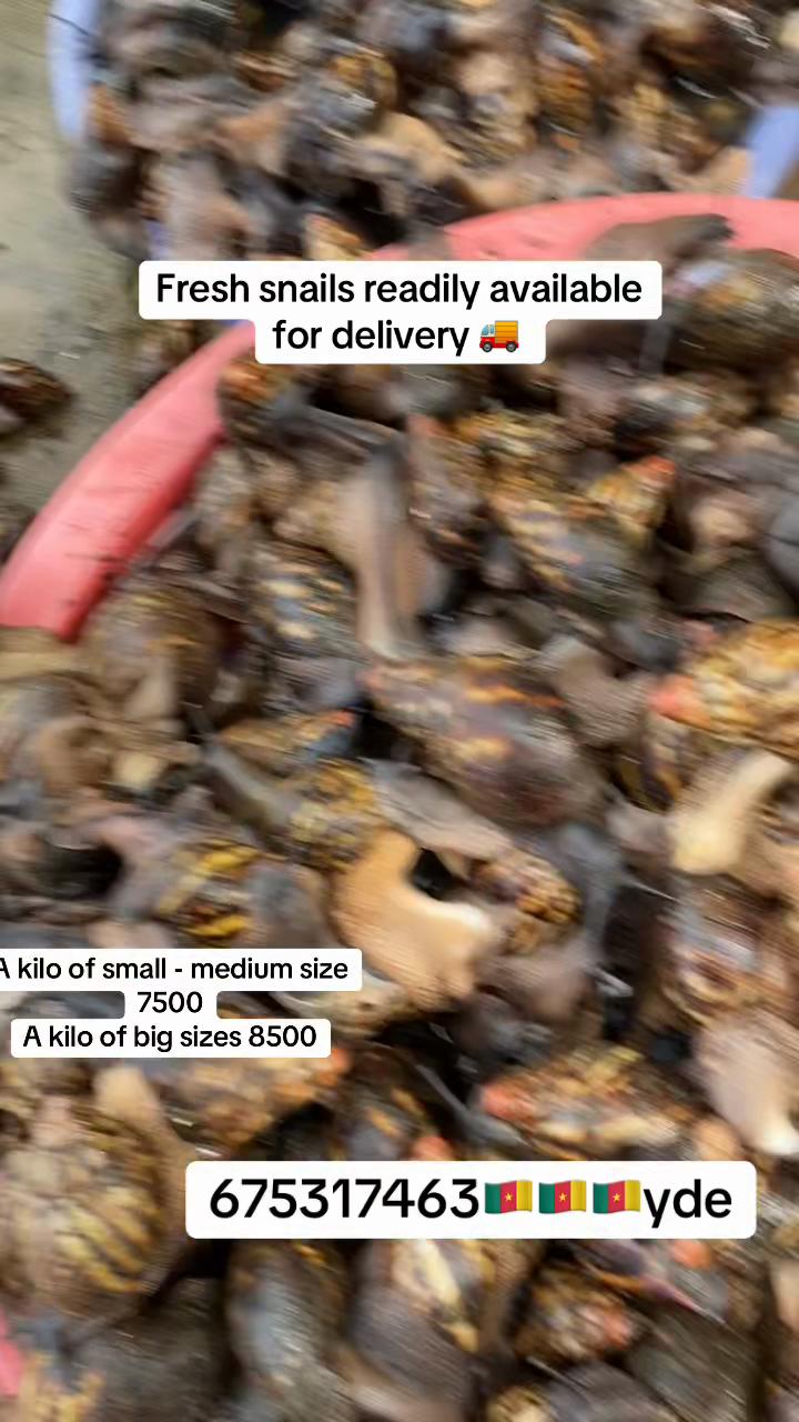 @Chanz&rsquo;s Africanfood supply🇨🇲