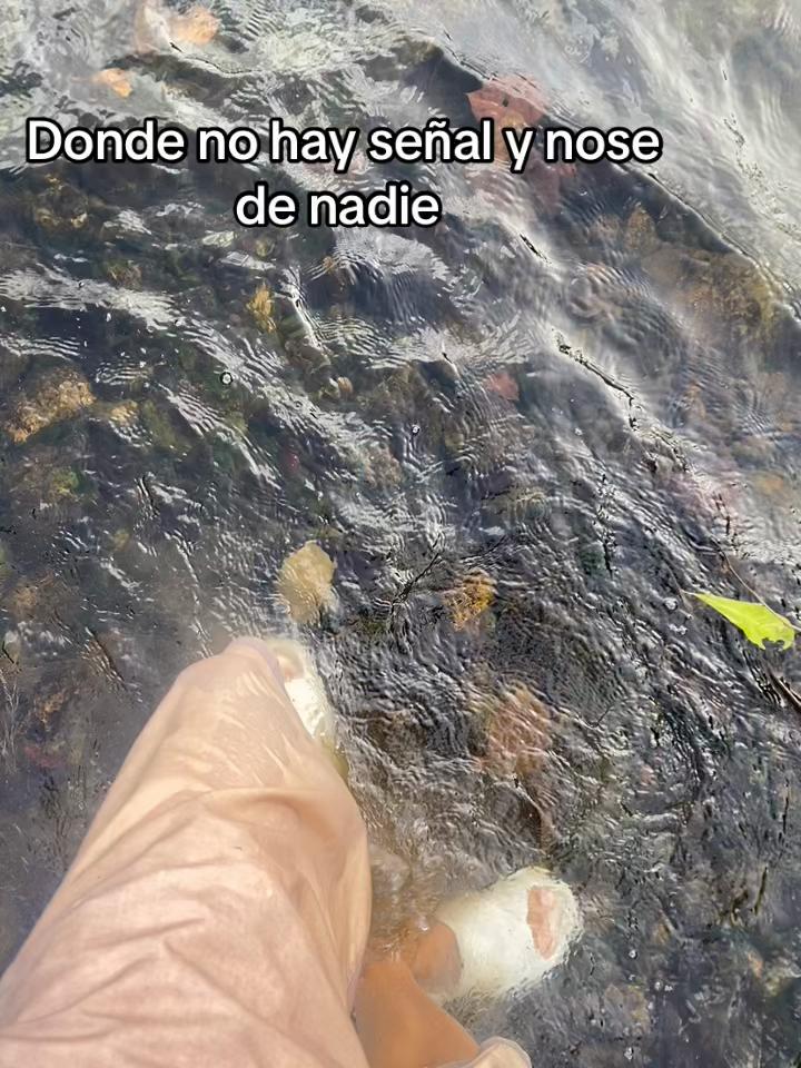 @carlitord240499