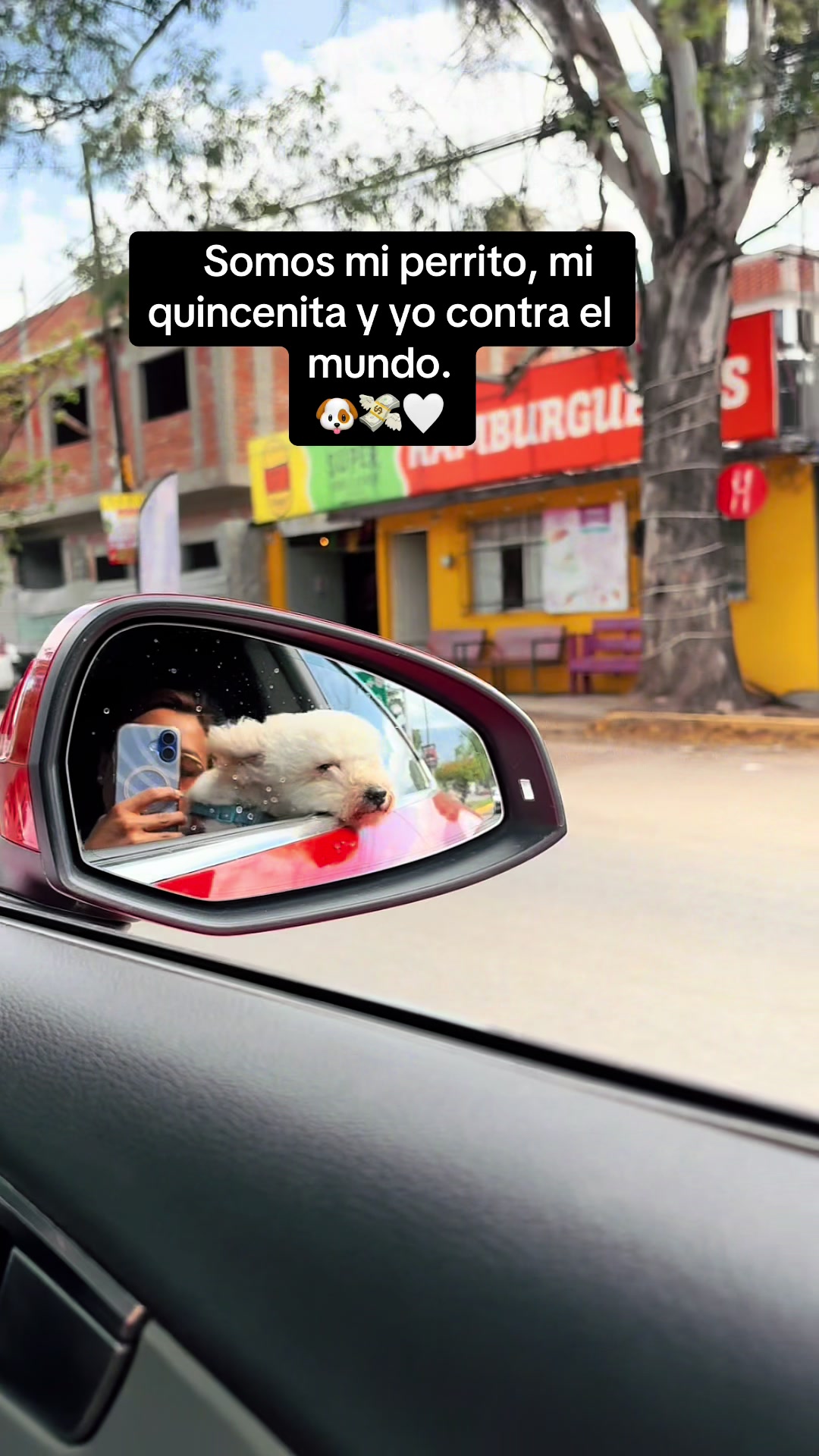 @Zelt la maeta de la escuela