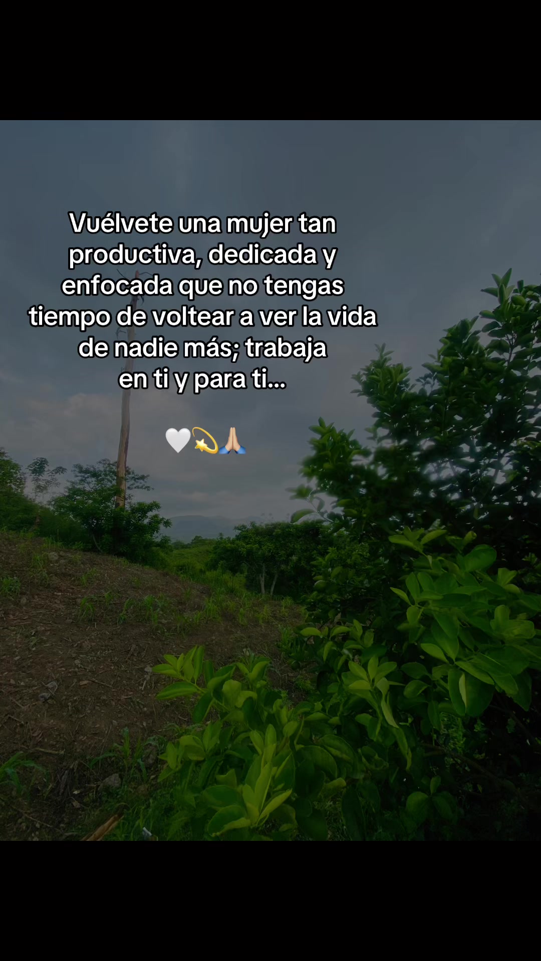 @Mirtza ❤️🫀