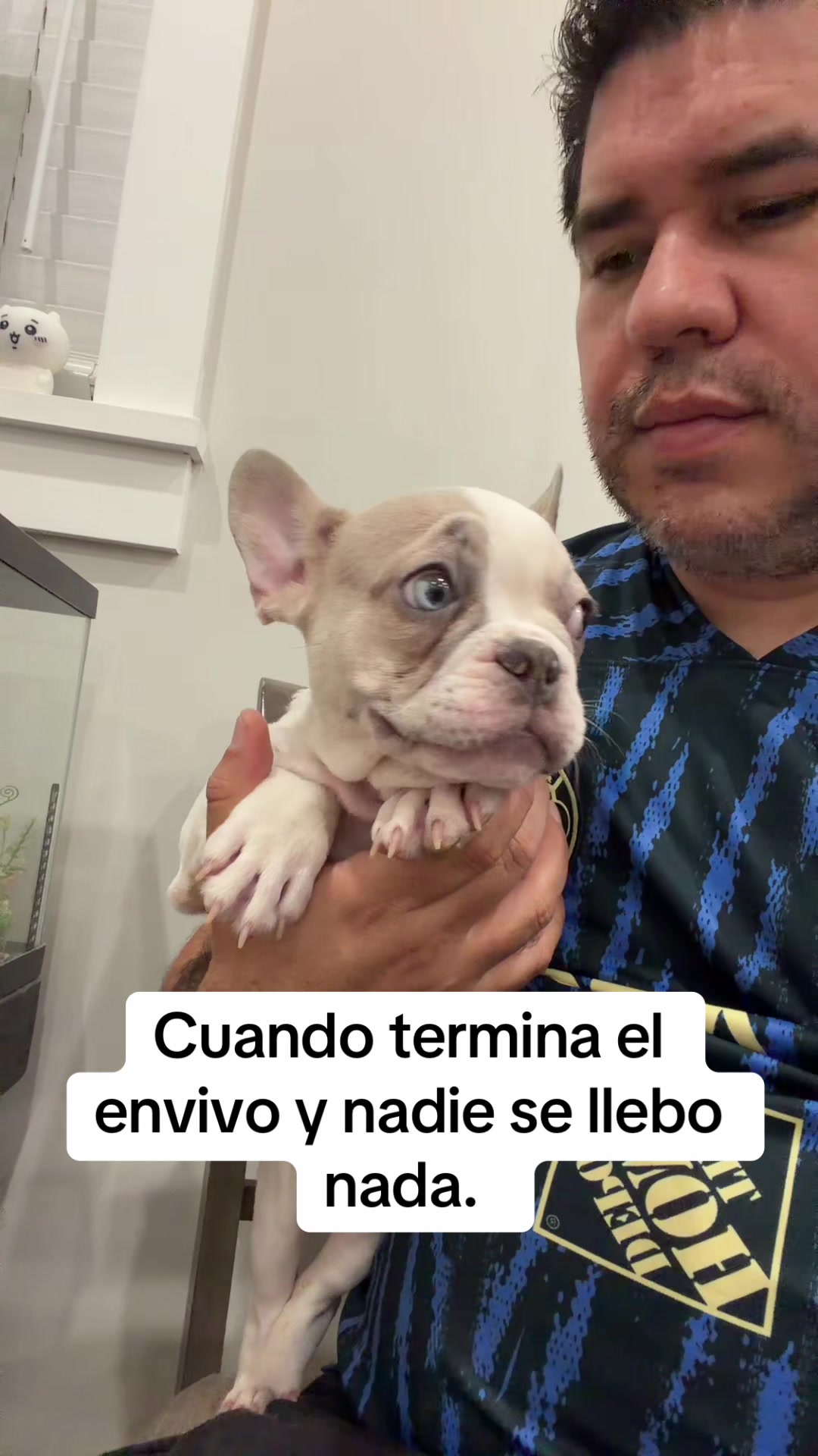 @DragonBallFrenchies