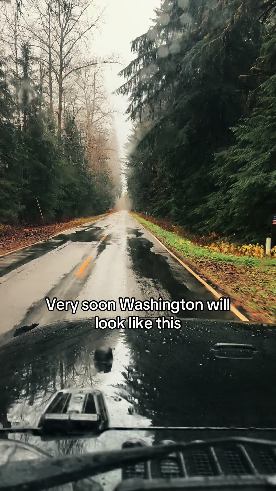 @🌲 James | WA 🏔️