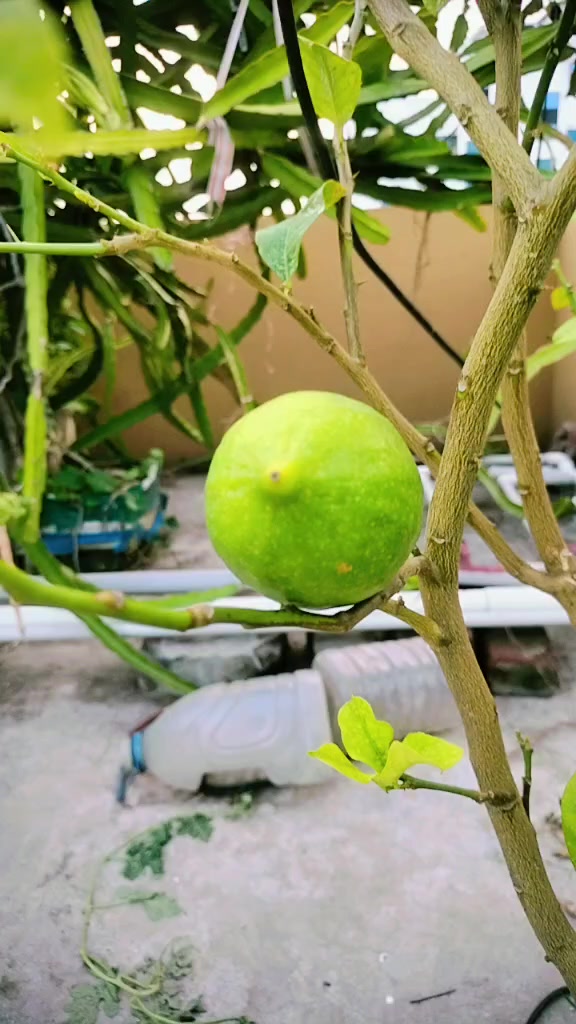 @❤️❤️ফারজানা ইতি❤️❤️