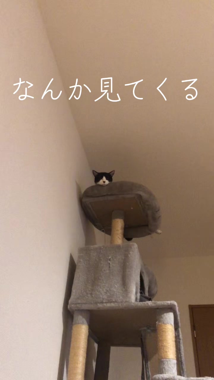 @SSS.MGMしば