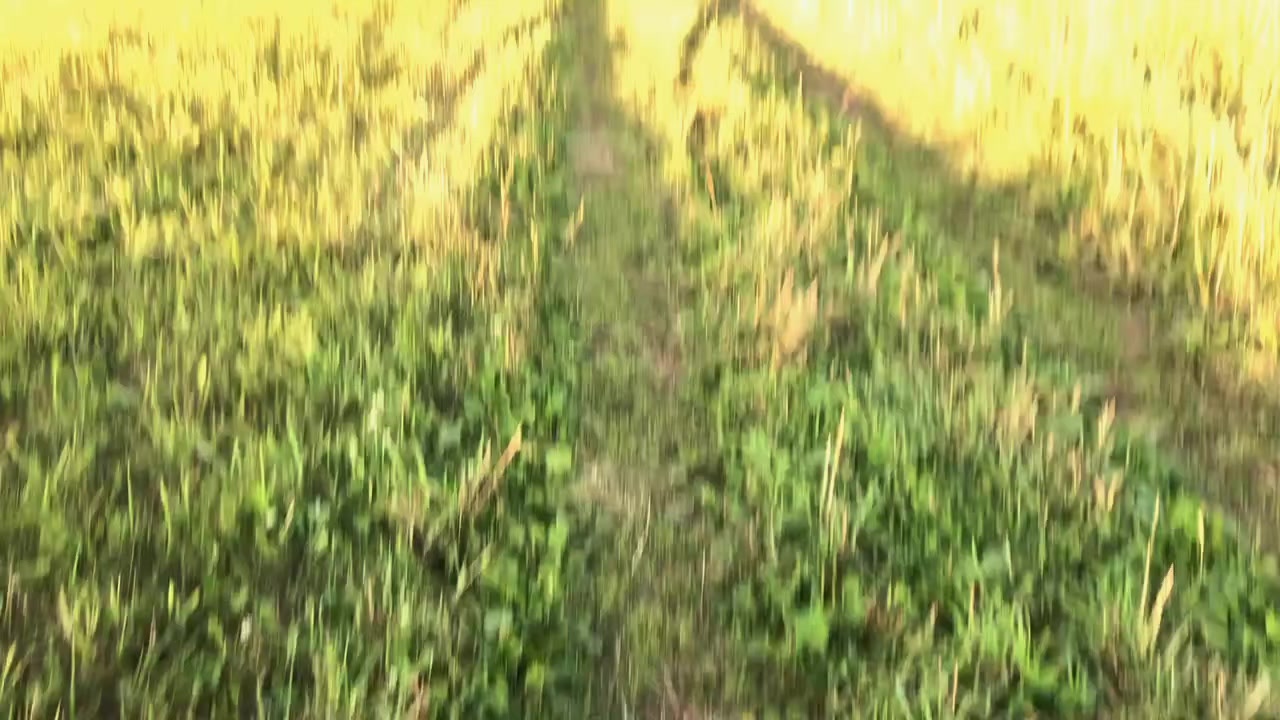 @ТГК-Дюша