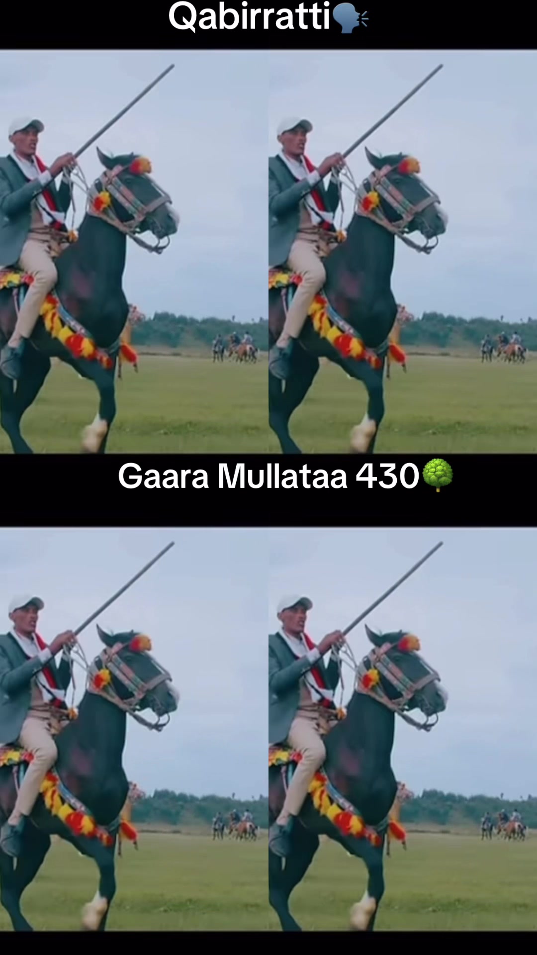@Gaara Mullataa 🥷🌳430🌳🥷